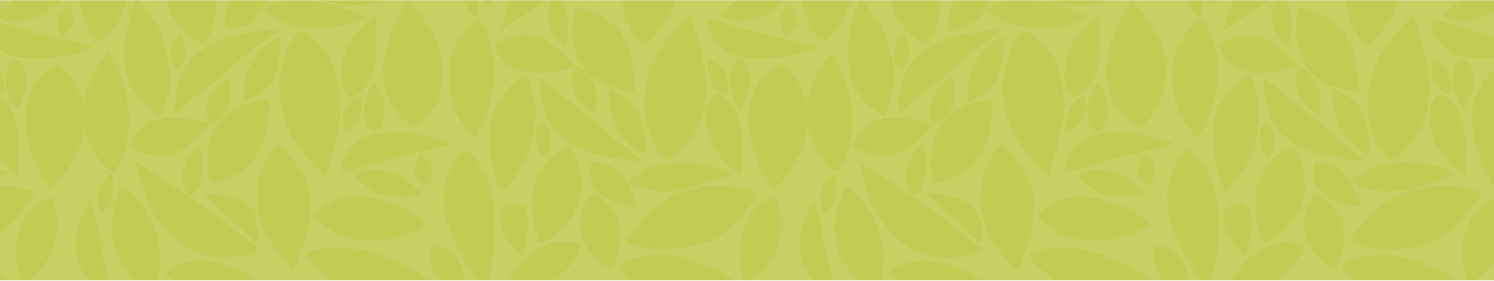 Umpqua Bank - Green graphic background